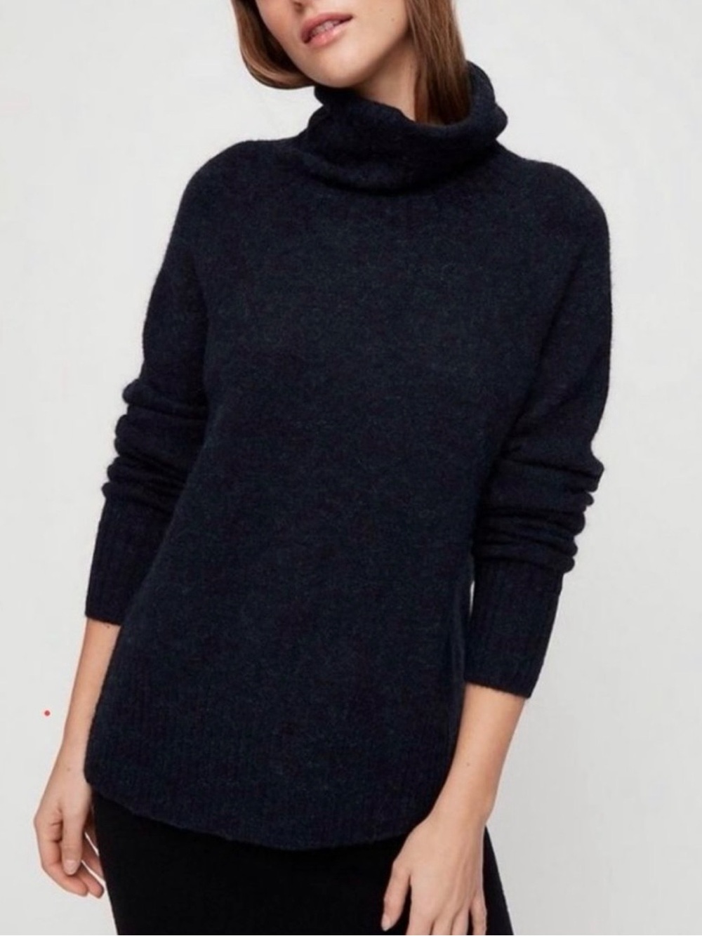 BABATON | Alpaca Wool Plutarch Turtleneck Sweater